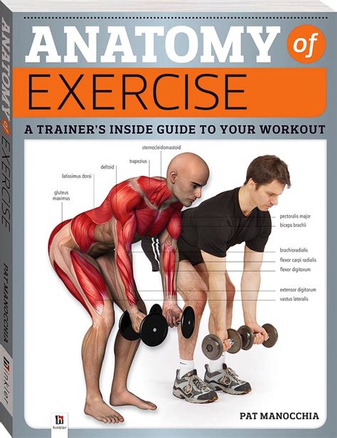Barron's Anatomy and 100 Essential Stretching Exercises helps you improve your flexibility, overcome physical ailments, and increase your overall sense of well-being. This comprehensive guide features over 100 stretching exercises to help you improve your range of motion, decrease discomfort, and prevent injuries.